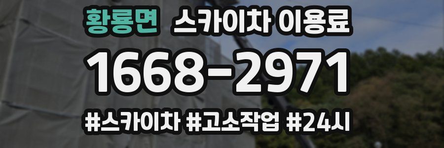 황룡면 스카이차 이용료