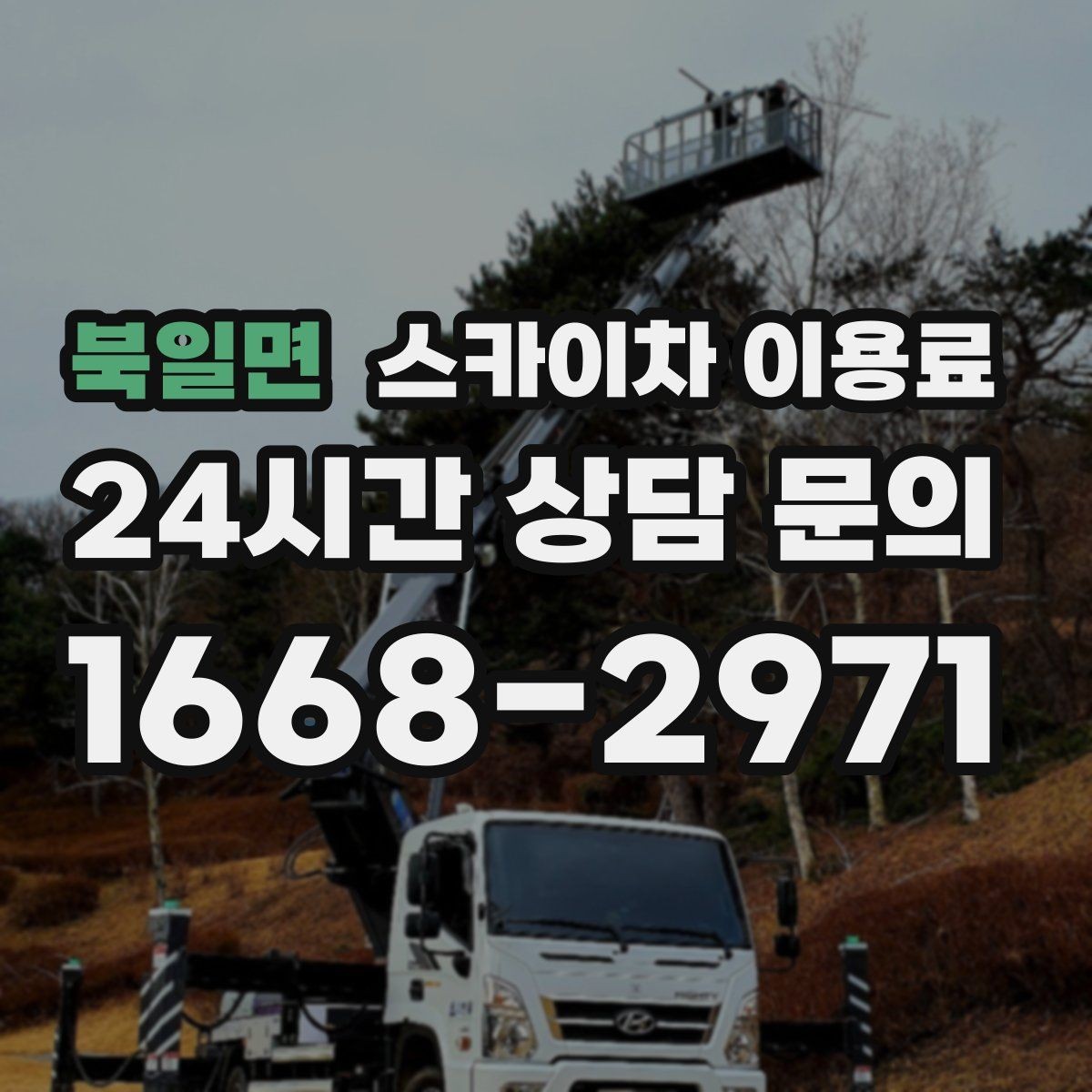 북일면 스카이차 이용료 하루 대여 시 살펴볼 부분