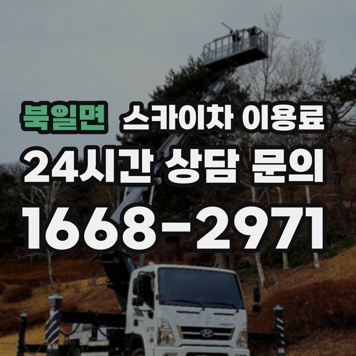 북일면 스카이차 이용료