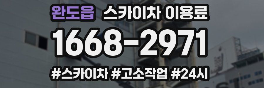 완도읍 스카이차 이용료