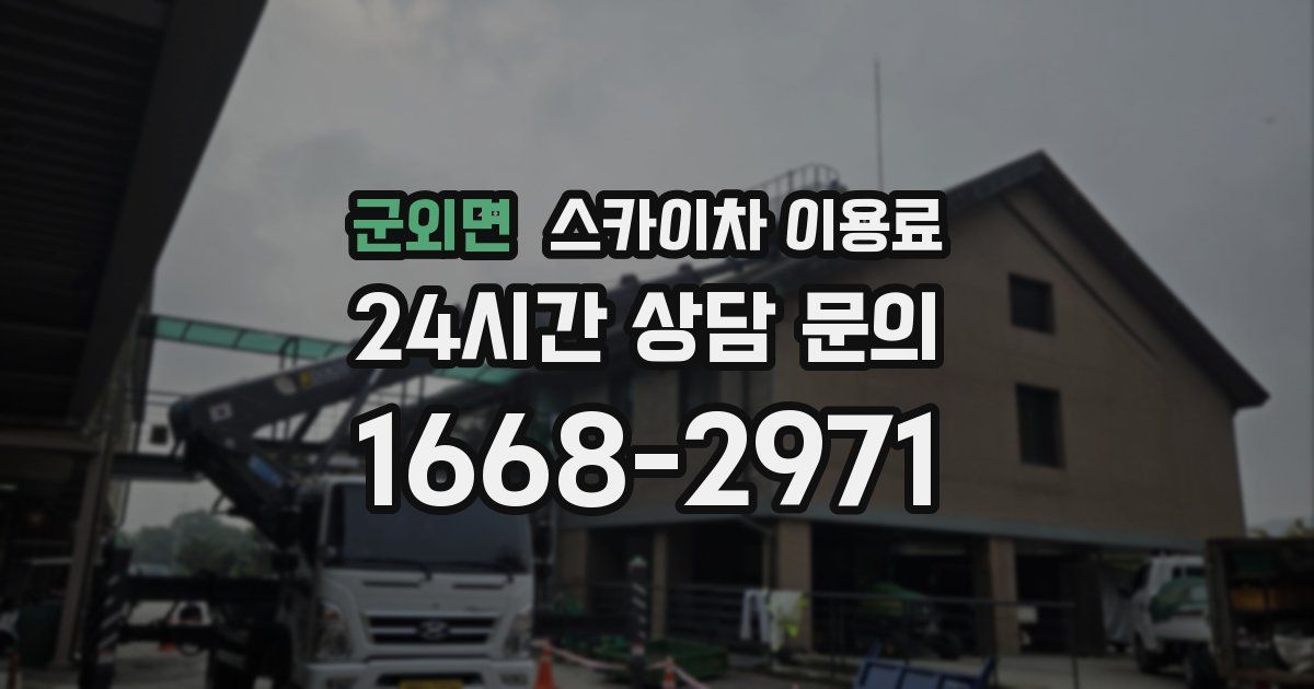 군외면 스카이차 이용료