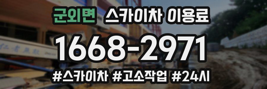 군외면 스카이차 이용료