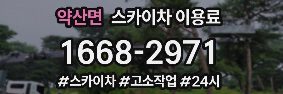 약산면 스카이차 이용료