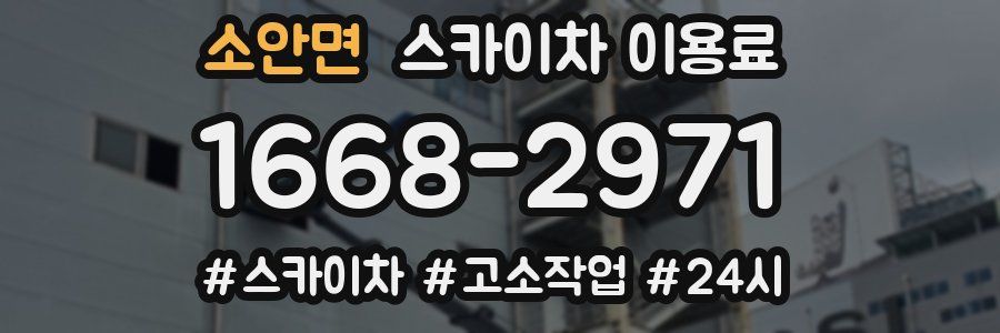 소안면 스카이차 이용료