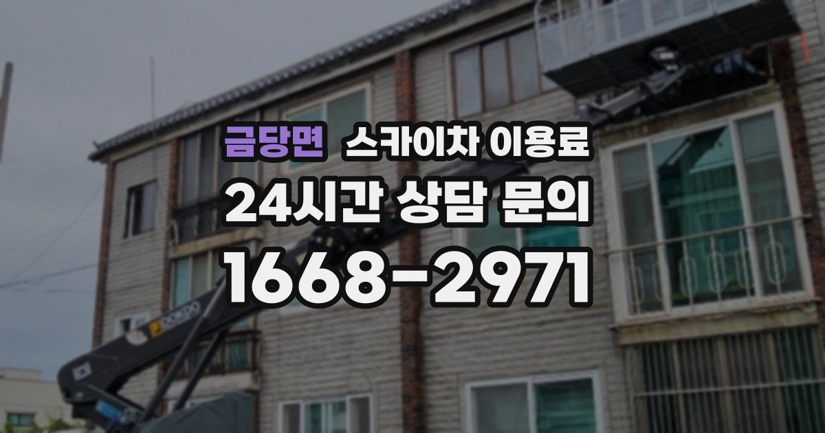 금당면 스카이차 이용료