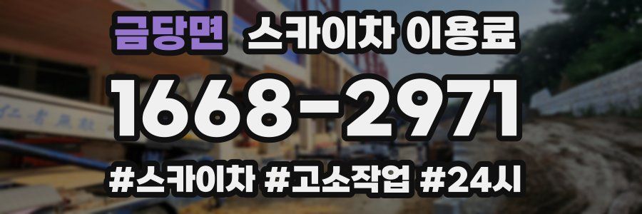 금당면 스카이차 이용료