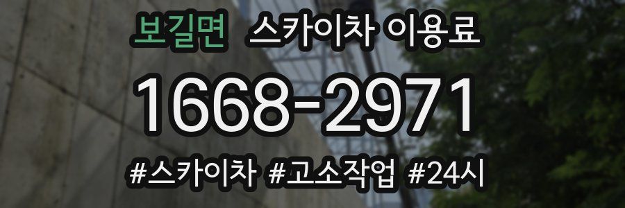보길면 스카이차 이용료