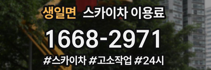 생일면 스카이차 이용료