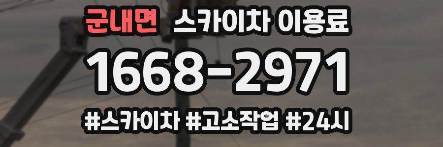 군내면 스카이차 이용료