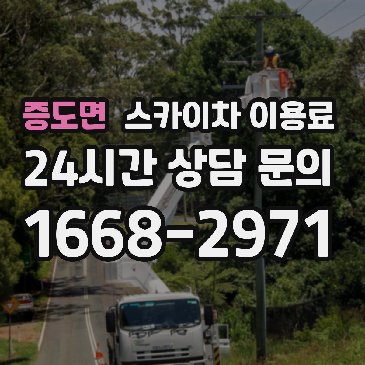 증도면 스카이차 이용료