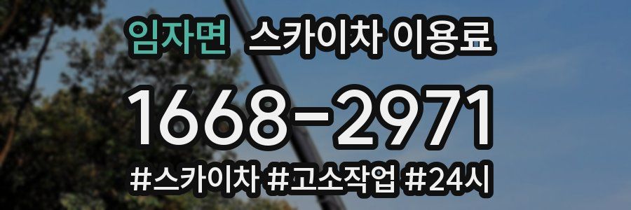 임자면 스카이차 이용료