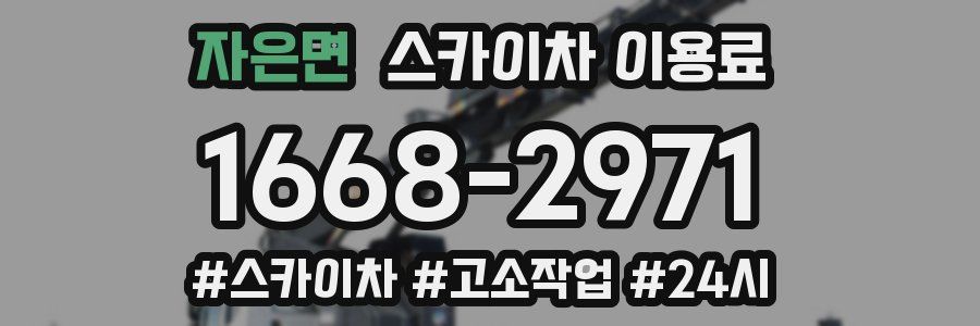 자은면 스카이차 이용료