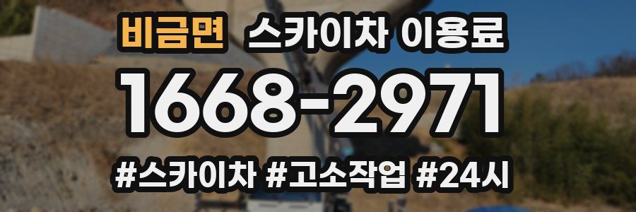 비금면 스카이차 이용료