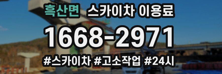 흑산면 스카이차 이용료