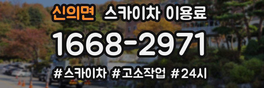 신의면 스카이차 이용료