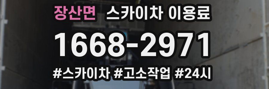 장산면 스카이차 이용료