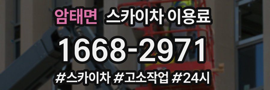 암태면 스카이차 이용료