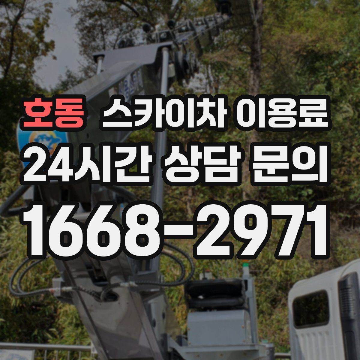 호동 스카이차 이용료