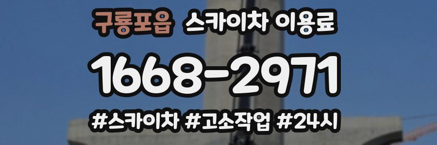 구룡포읍 스카이차 이용료