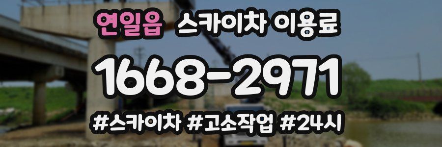 연일읍 스카이차 이용료