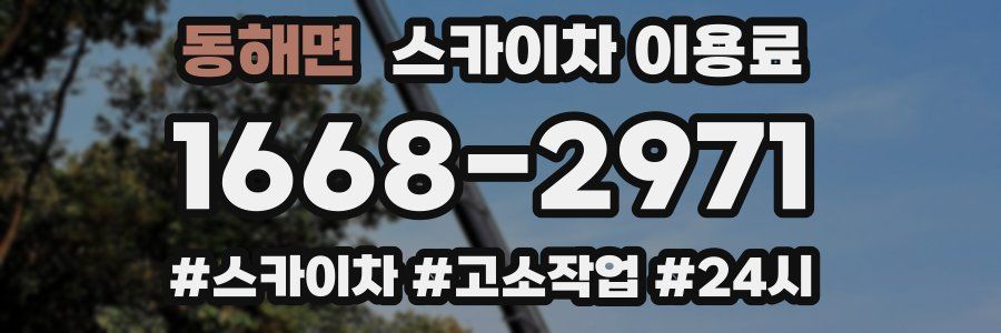 동해면 스카이차 이용료