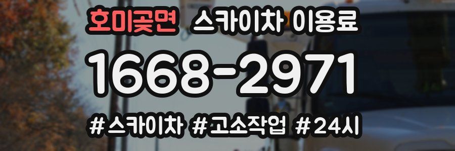 호미곶면 스카이차 이용료