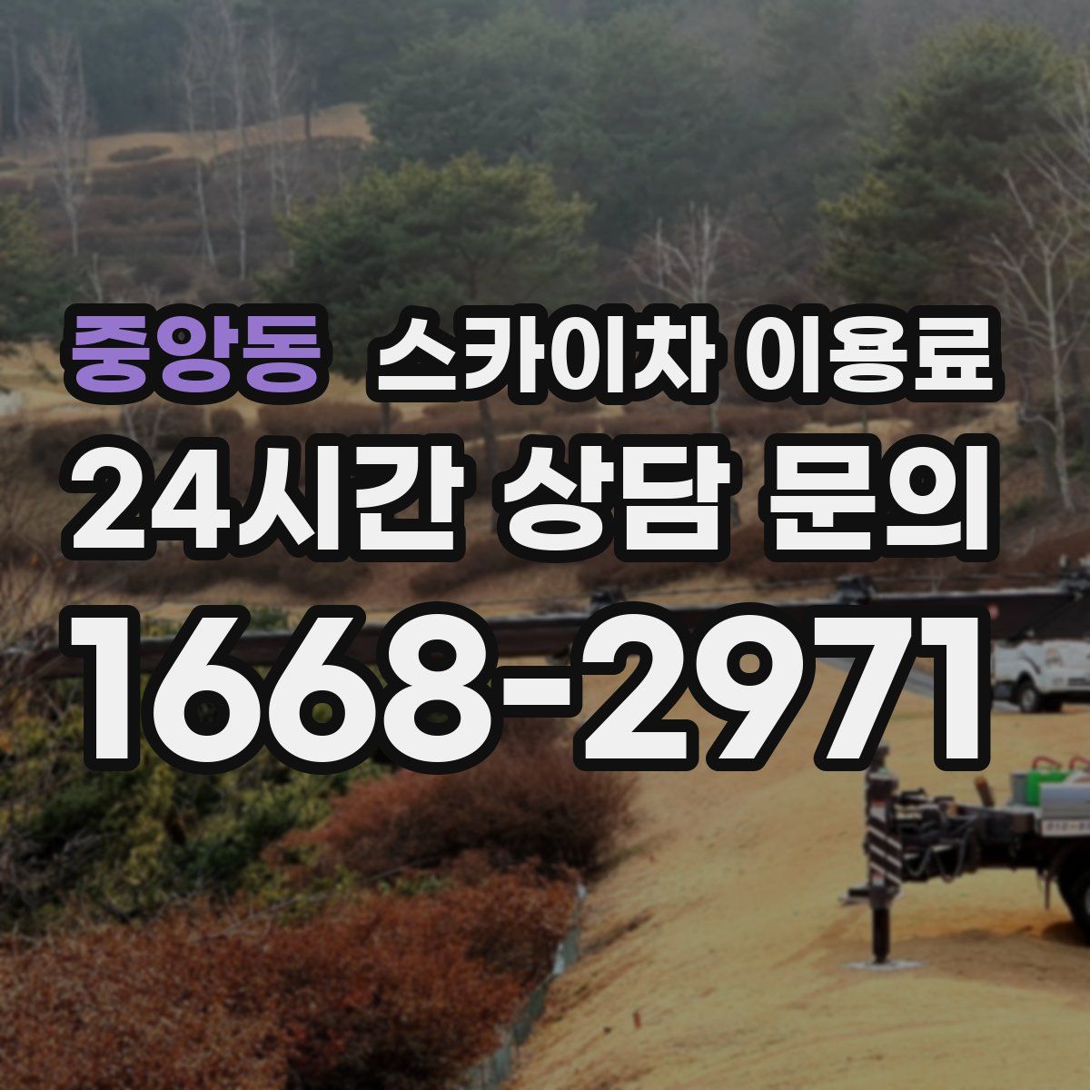 중앙동 스카이차 이용료