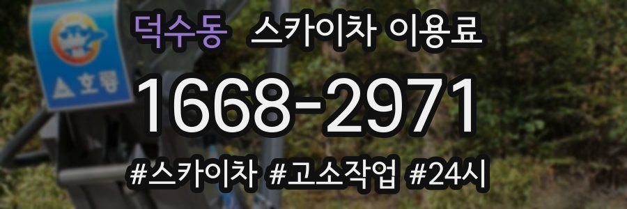 덕수동 스카이차 이용료