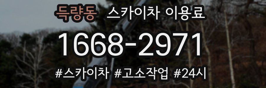득량동 스카이차 이용료