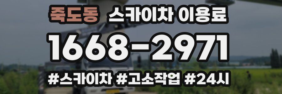 죽도동 스카이차 이용료