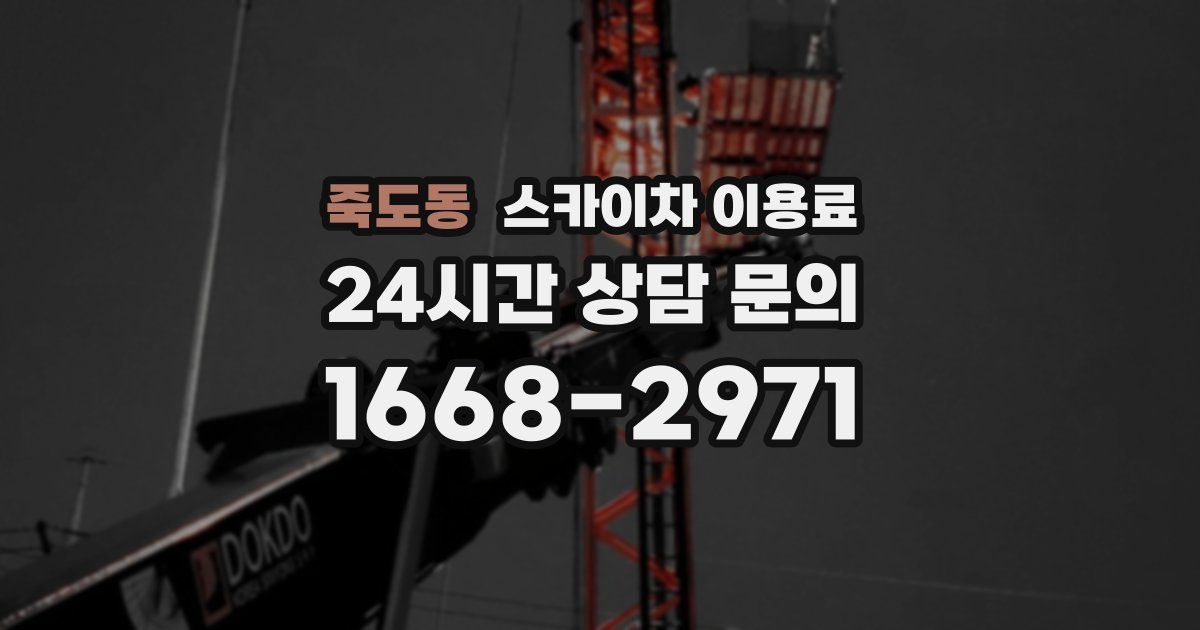 죽도동 스카이차 이용료