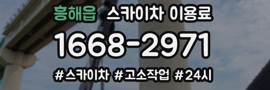 흥해읍 스카이차 이용료