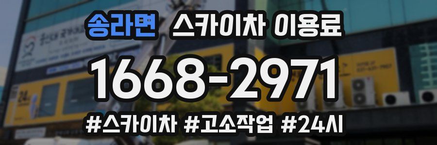 송라면 스카이차 이용료