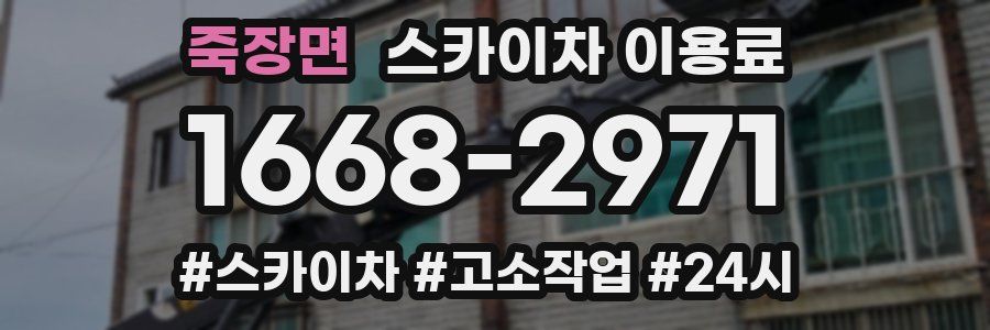 죽장면 스카이차 이용료