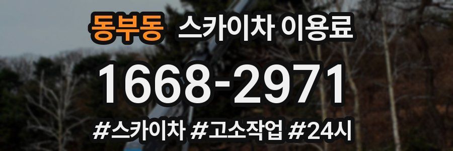 동부동 스카이차 이용료