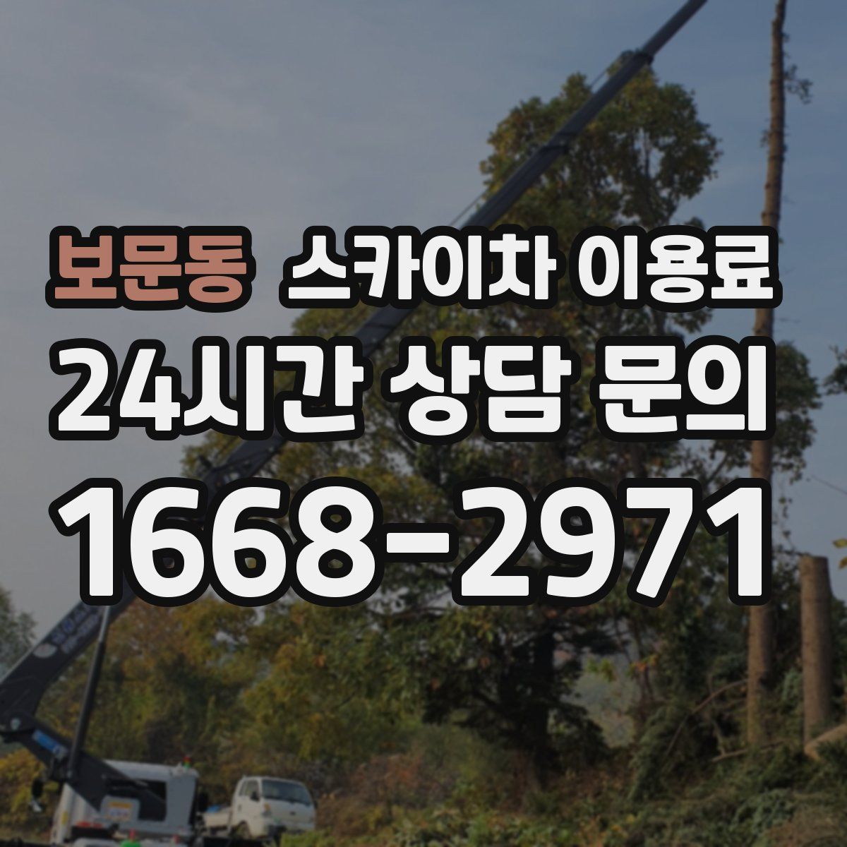 보문동 스카이차 이용료