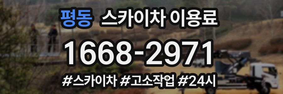 평동 스카이차 이용료