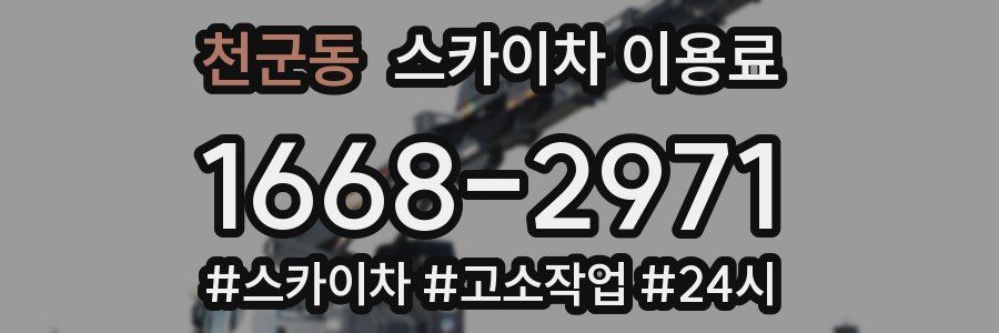천군동 스카이차 이용료