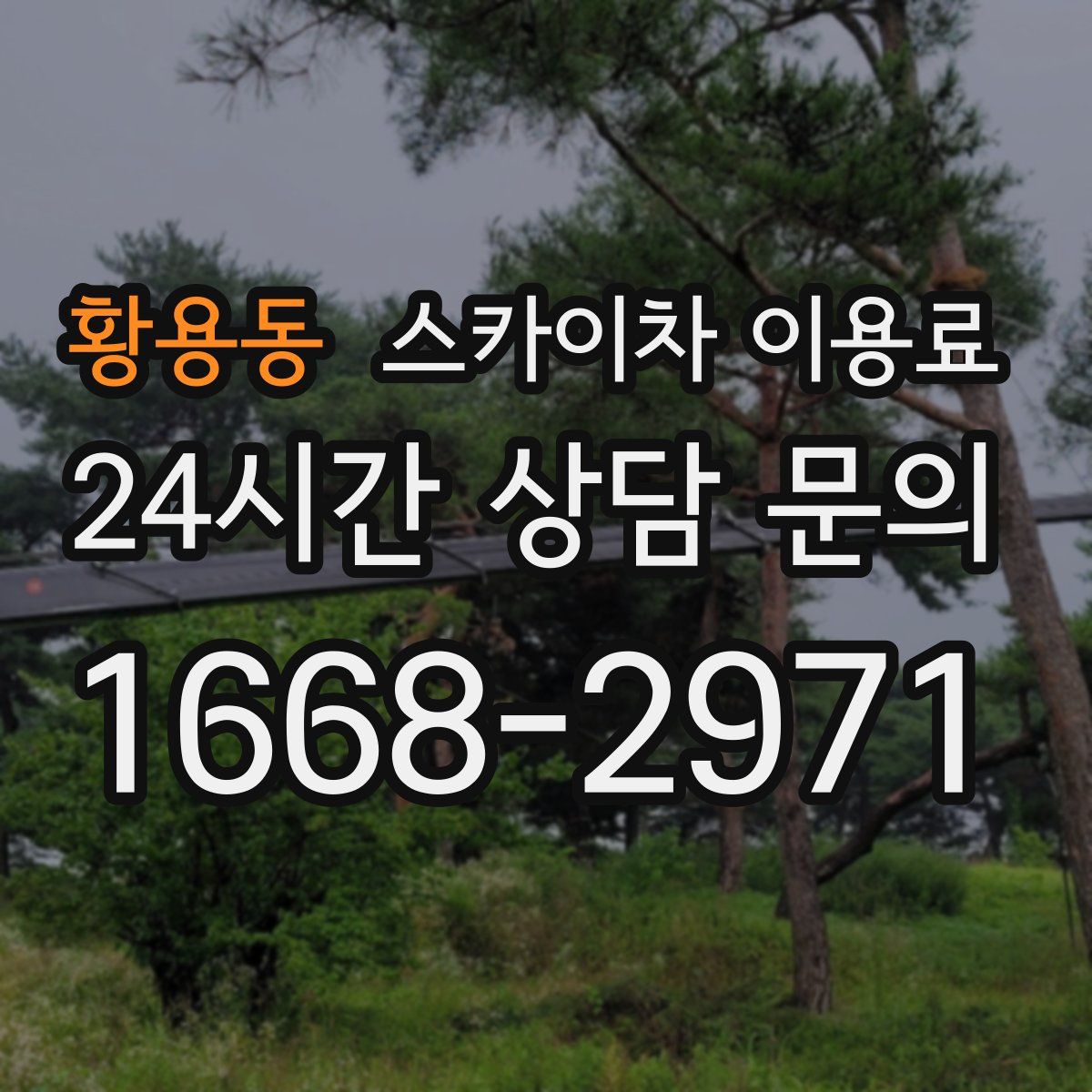 황용동 스카이차 이용료
