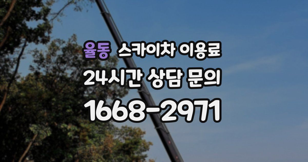 율동 스카이차 이용료