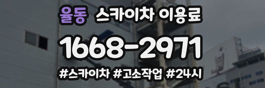 율동 스카이차 이용료