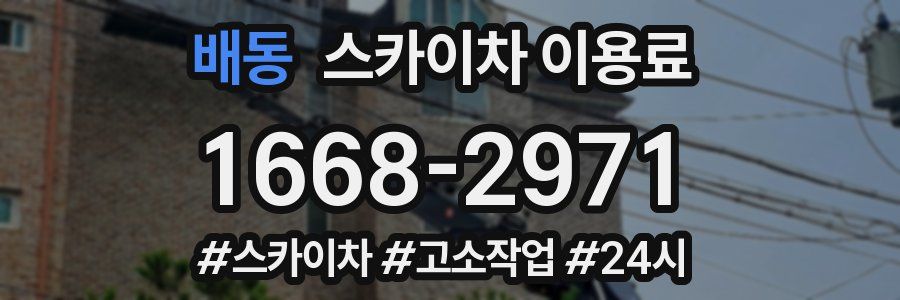 배동 스카이차 이용료