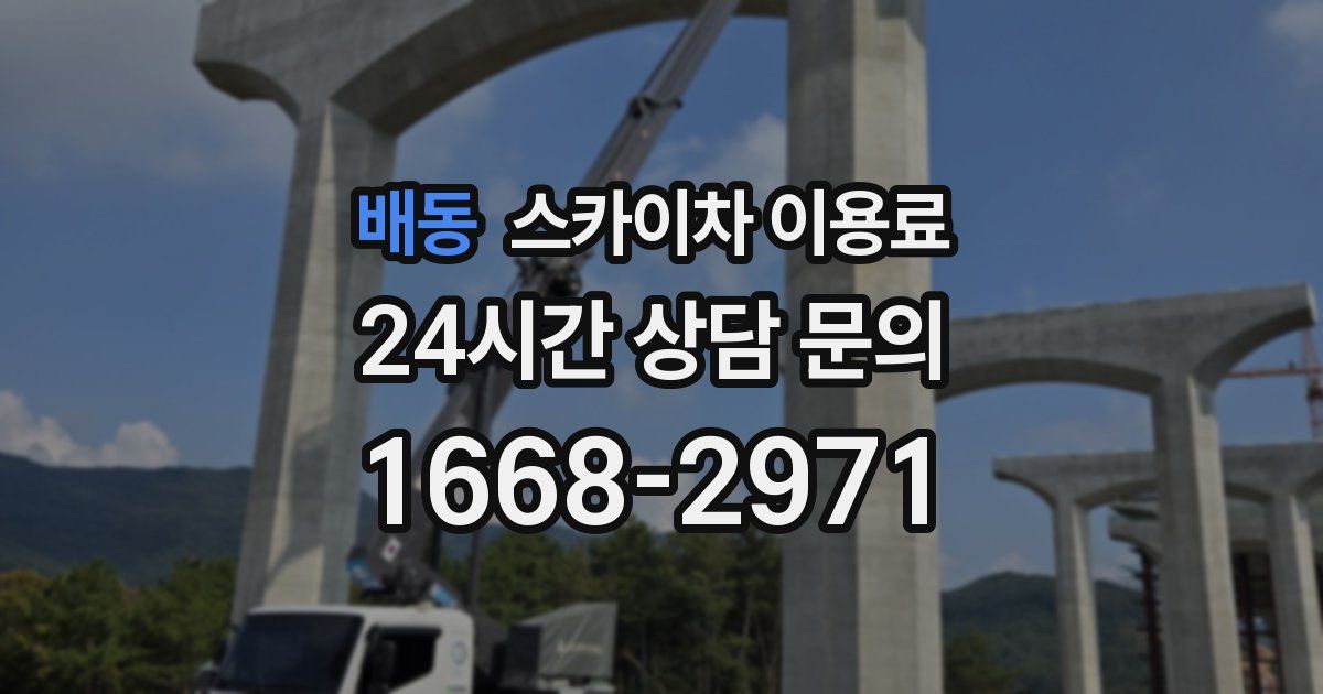 배동 스카이차 이용료