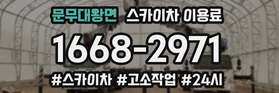 문무대왕면 스카이차 이용료