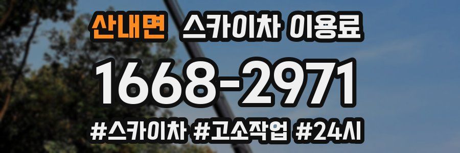 산내면 스카이차 이용료