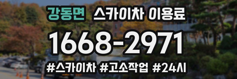 강동면 스카이차 이용료
