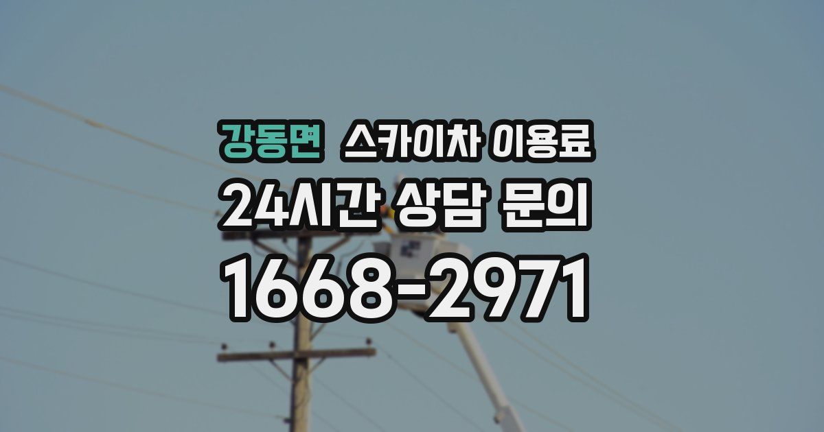 강동면 스카이차 이용료