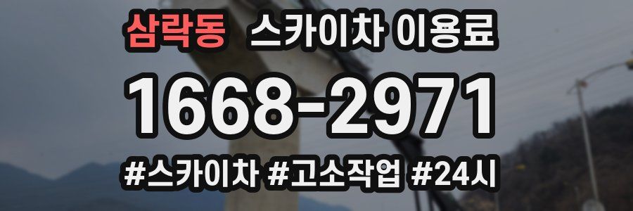 삼락동 스카이차 이용료
