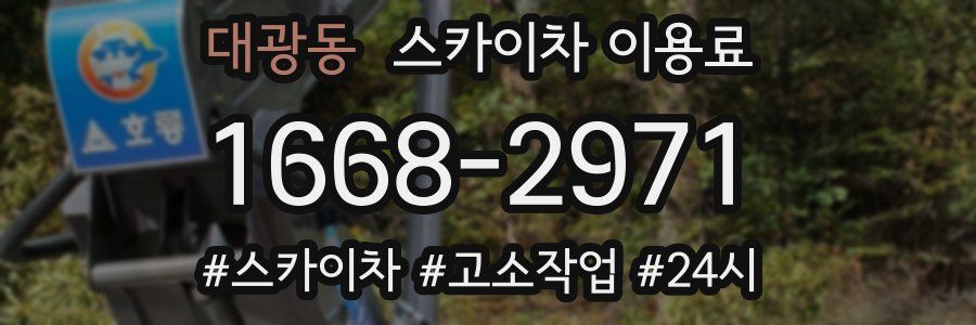 대광동 스카이차 이용료