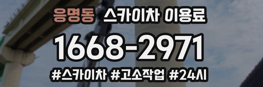 응명동 스카이차 이용료